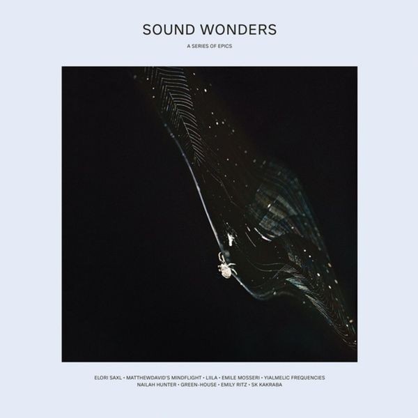 Various Artists - Sound Wonders i gruppen VINYL / Pop hos Bengans Skivbutik AB (4056791)