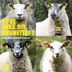 Various - Vous Avez Dit Brunettes? i gruppen CD / Klassiskt hos Bengans Skivbutik AB (4058503)