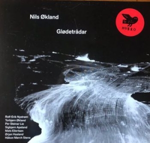 Ökland Nils - Glödetrådar i gruppen VINYL / Kommande / Worldmusic/ Folkmusik hos Bengans Skivbutik AB (4060426)