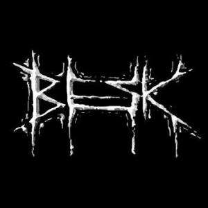 Besk - What Went Wrong 1996-2000 i gruppen CD / Rock hos Bengans Skivbutik AB (4061573)