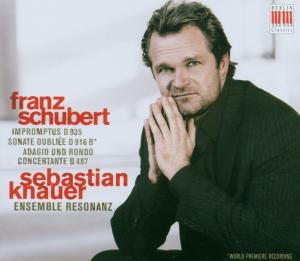 Schubert Franz - Piano Works i gruppen Externt_Lager / Naxoslager hos Bengans Skivbutik AB (4061594)