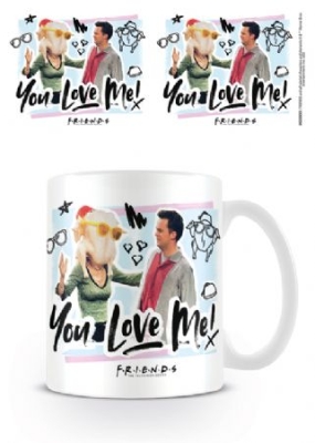 Friends - Friends (You Love Me) i gruppen ÖVRIGT / Merchandise hos Bengans Skivbutik AB (4063709)