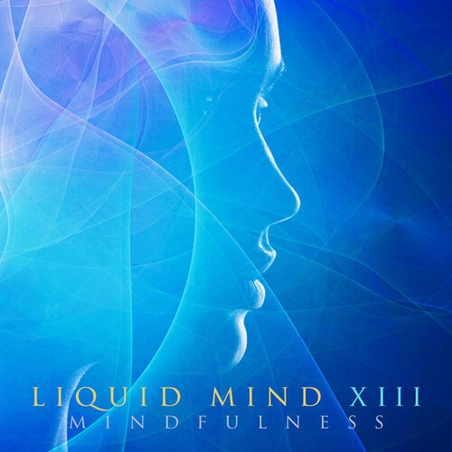 Liquid Mind - Liquid Mind XIII: Mindfulness i gruppen CD / Övrigt hos Bengans Skivbutik AB (4063762)