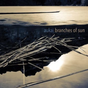 Aukai - Branches Of Sun i gruppen VINYL / Elektroniskt,World Music hos Bengans Skivbutik AB (4065145)