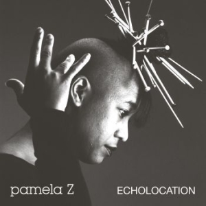 Pamela Z - Echolocation (Natural White Vinyl) i gruppen VINYL / Film/Musikal hos Bengans Skivbutik AB (4066844)