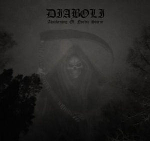 Diaboli - Awakening Of Nordic Storm (Vinyl Lp i gruppen VINYL / Hårdrock/ Heavy metal hos Bengans Skivbutik AB (4068456)