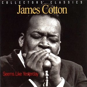 Cotton James - Seems Like Yesterday i gruppen CD / Blues,Jazz hos Bengans Skivbutik AB (4070120)