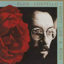 Costello Elvis - Mighty Like A Rose i gruppen CD / Kommande / Pop hos Bengans Skivbutik AB (4070963)