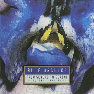 Blue Orchids - From To Severe To Serene i gruppen CD / Pop hos Bengans Skivbutik AB (4073182)