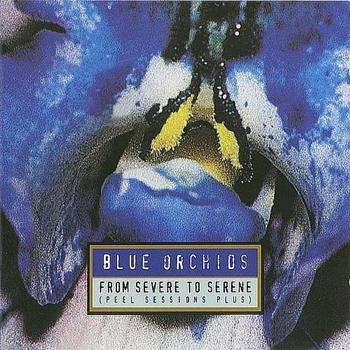 Blue Orchids - From To Severe To Serene i gruppen CD / Toppsäljare hos Bengans Skivbutik AB (4073182)