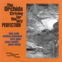 ORCHIDS - STRIVING FOR THE LAZY PERFECTION + i gruppen CD / Pop-Rock hos Bengans Skivbutik AB (4073189)