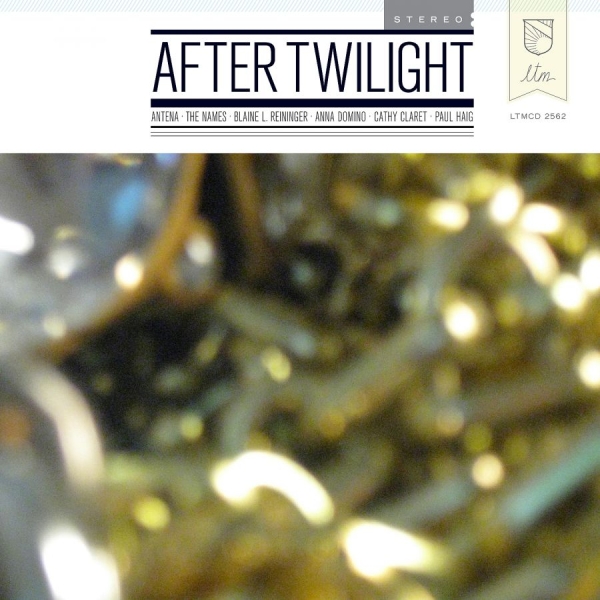 Various Artists - After Twilight i gruppen CD / Toppsäljare hos Bengans Skivbutik AB (4073207)
