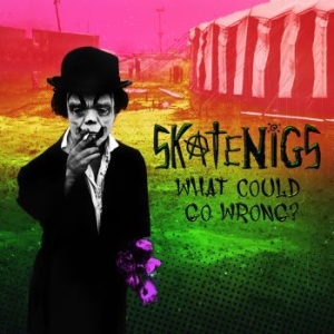 Skatenigs - What Could Go Wrong? i gruppen CD / Rock hos Bengans Skivbutik AB (4075146)