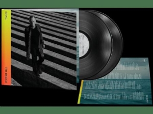 Sting - The Bridge (Deluxe Vinyl) i gruppen VINYL / Pop-Rock hos Bengans Skivbutik AB (4076787)