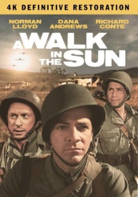 A Walk In The Sun: The Definitive R - Film (2Dvd) i gruppen ÖVRIGT / Musik-DVD & Bluray hos Bengans Skivbutik AB (4077103)