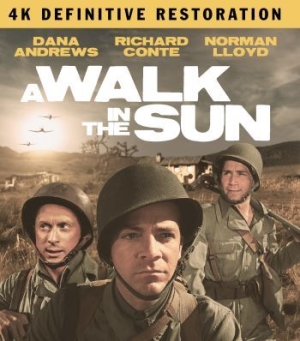 A Walk In The Sun: The Definitive R - Film (2Br) i gruppen MUSIK / Musik Blu-Ray / Film/Musikal hos Bengans Skivbutik AB (4077109)