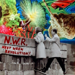 Next Week Revolution N.W.R. - Next Week Revolution i gruppen VINYL / Dance-Techno hos Bengans Skivbutik AB (4077194)