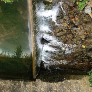 Jessica Moss - Phosphenes i gruppen CD / Pop-Rock hos Bengans Skivbutik AB (4078465)