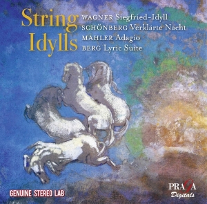 V/A - String Idylls i gruppen CD / Klassiskt,Övrigt hos Bengans Skivbutik AB (4080440)