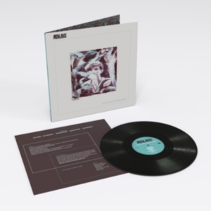 Midlake - For The Sake Of Bethel Woods i gruppen ÖVRIGT / -Start BW hos Bengans Skivbutik AB (4088027)