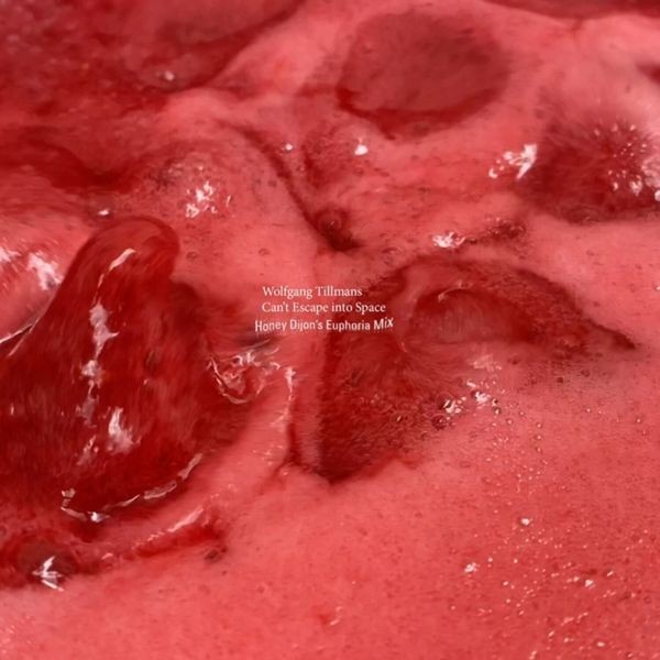 Tillmans Wolfgang - Can't Escape Into Space-Honey Dijon i gruppen VINYL / Pop hos Bengans Skivbutik AB (4095103)