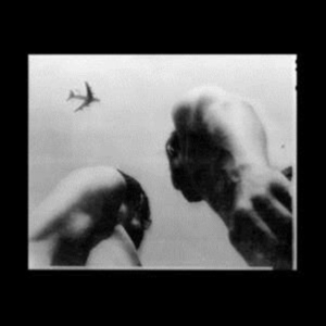 Adams Eve - Metal Bird i gruppen CD / Elektroniskt,Svensk Folkmusik,World Music hos Bengans Skivbutik AB (4095168)