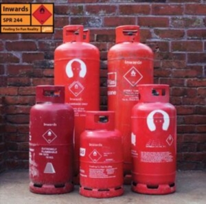 Inwards - Feeling So Fun Reality i gruppen ÖVRIGT / Övrigt / aub hos Bengans Skivbutik AB (4095850)