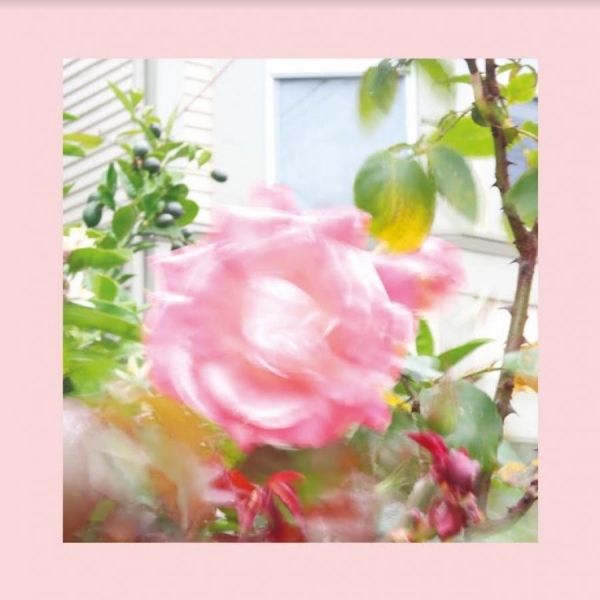 Reds Pinks And Purples (Green) - Summer At Land's End i gruppen VINYL / Toppsäljare hos Bengans Skivbutik AB (4098088)