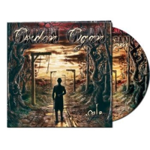 Orden Ogan - Vale (Ltd Gtf Picture Vinyl Lp) i gruppen VINYL / Hårdrock/ Heavy metal hos Bengans Skivbutik AB (4101842)