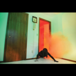 Adult. - Becoming Undone i gruppen VINYL / Dance-Techno hos Bengans Skivbutik AB (4109169)