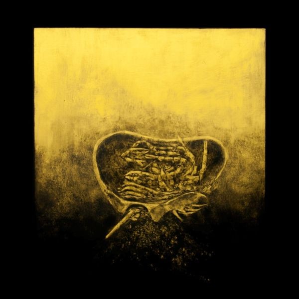 Luna Honey - Ballast i gruppen VINYL / Rock hos Bengans Skivbutik AB (4110121)
