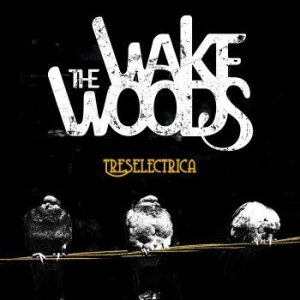 Wake Woods - Treselectrica i gruppen CD / Rock hos Bengans Skivbutik AB (4112163)