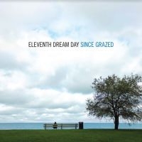 Eleventh Dream Day - Since Grazed i gruppen CD / Pop-Rock hos Bengans Skivbutik AB (4113268)