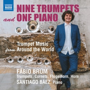 Various - Nine Trumpets And One Piano i gruppen Externt_Lager / Naxoslager hos Bengans Skivbutik AB (4114327)