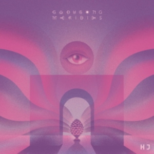 Go Dugong - Meridies i gruppen VINYL / Pop-Rock hos Bengans Skivbutik AB (4115164)