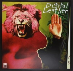 Hussy/Digital Leather - Split Lp i gruppen VINYL / Pop-Rock hos Bengans Skivbutik AB (4117916)