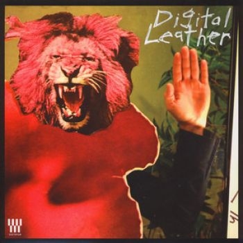 Hussy/Digital Leather - Split Lp i gruppen VINYL / Toppsäljare hos Bengans Skivbutik AB (4117916)