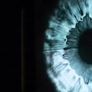 Hems - Chaotic Affair i gruppen VINYL / Pop-Rock hos Bengans Skivbutik AB (4118565)