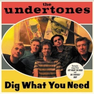 Undertones - Dig What You Need - Best Of 2003-20 i gruppen VINYL / Rock hos Bengans Skivbutik AB (4118618)