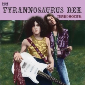 Tyrannosaurus Rex - Strange Orchestra i gruppen CD / Rock hos Bengans Skivbutik AB (4118698)