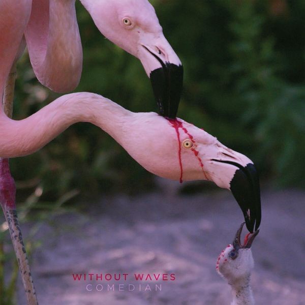Without Waves - Comedian i gruppen CD / Hårdrock/ Heavy metal hos Bengans Skivbutik AB (4120126)