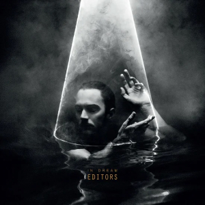 Editors - In Dream (Clear Vinyl) i gruppen VINYL / Pop-Rock hos Bengans Skivbutik AB (4125640)