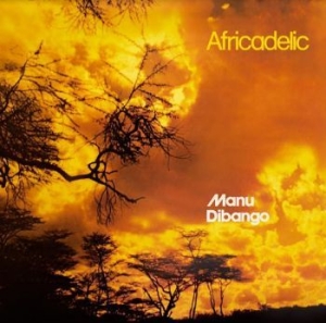 Dibango Manu - Africadelic (Orange & Yellow) i gruppen VINYL / Pop-Rock hos Bengans Skivbutik AB (4126975)