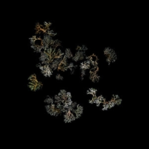 Deathcrash - Return i gruppen VINYL / Rock hos Bengans Skivbutik AB (4128515)