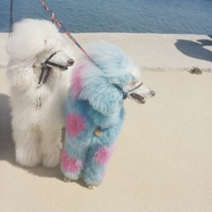 Exek - Advertise Here i gruppen VINYL / Pop-Rock hos Bengans Skivbutik AB (4128570)