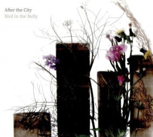 Bird In The Belly - After The City i gruppen CD / Worldmusic/ Folkmusik hos Bengans Skivbutik AB (4128736)