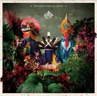 Decasia - An Endless Feast For Hyenas i gruppen VINYL / Pop-Rock hos Bengans Skivbutik AB (4129814)