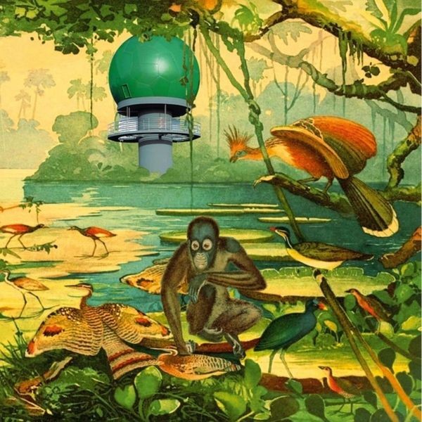 Various Artists - Radar 2 i gruppen VINYL / Pop hos Bengans Skivbutik AB (4131518)