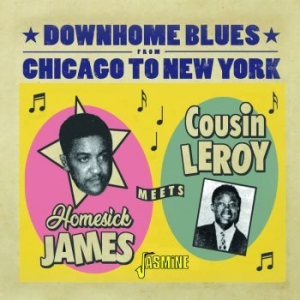 Homesick James Meets Cousin Leroy - Downhome Blues From Chicago To New i gruppen CD / Jazz/Blues hos Bengans Skivbutik AB (4131553)