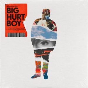 Woods Donovan - Big Hurt Boy i gruppen CD / Worldmusic/ Folkmusik hos Bengans Skivbutik AB (4131558)